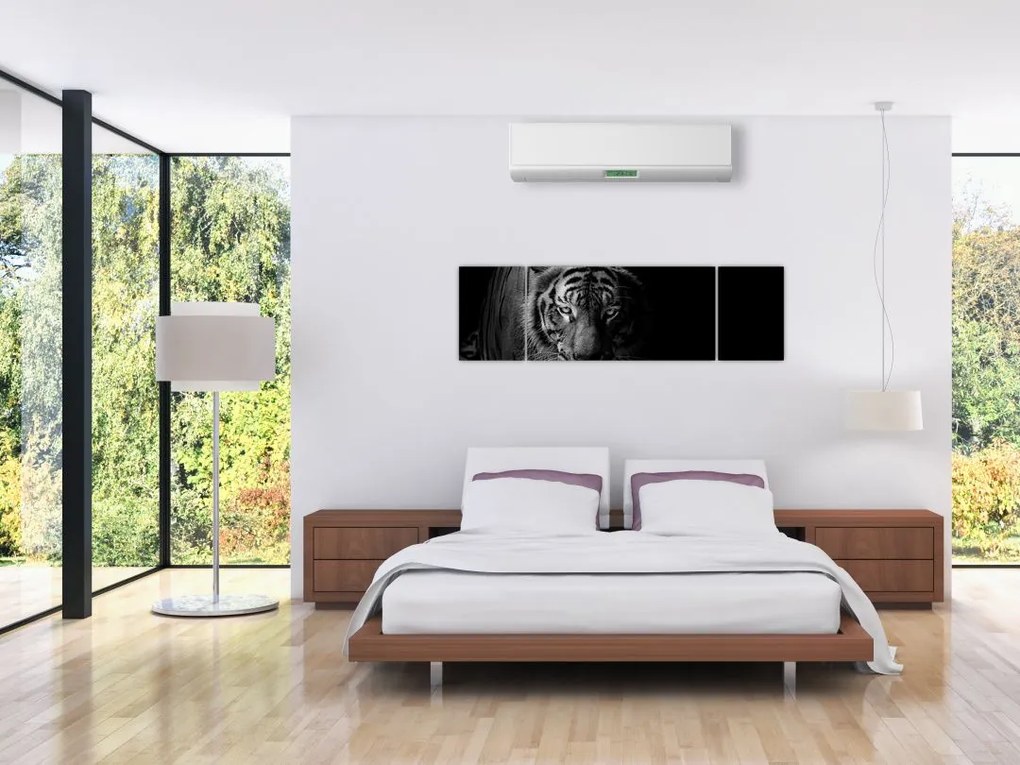 Obraz dzikiego tygrysa (170x50 cm)