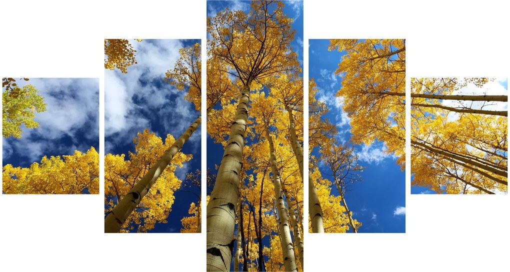 Obraz - Aspen (125x70 cm)