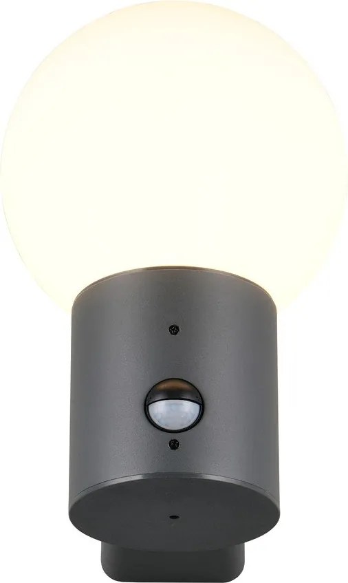 Lampa zewnętrzna ścienna z czujnikiem ruchu ø 18 cm Mures – Trio