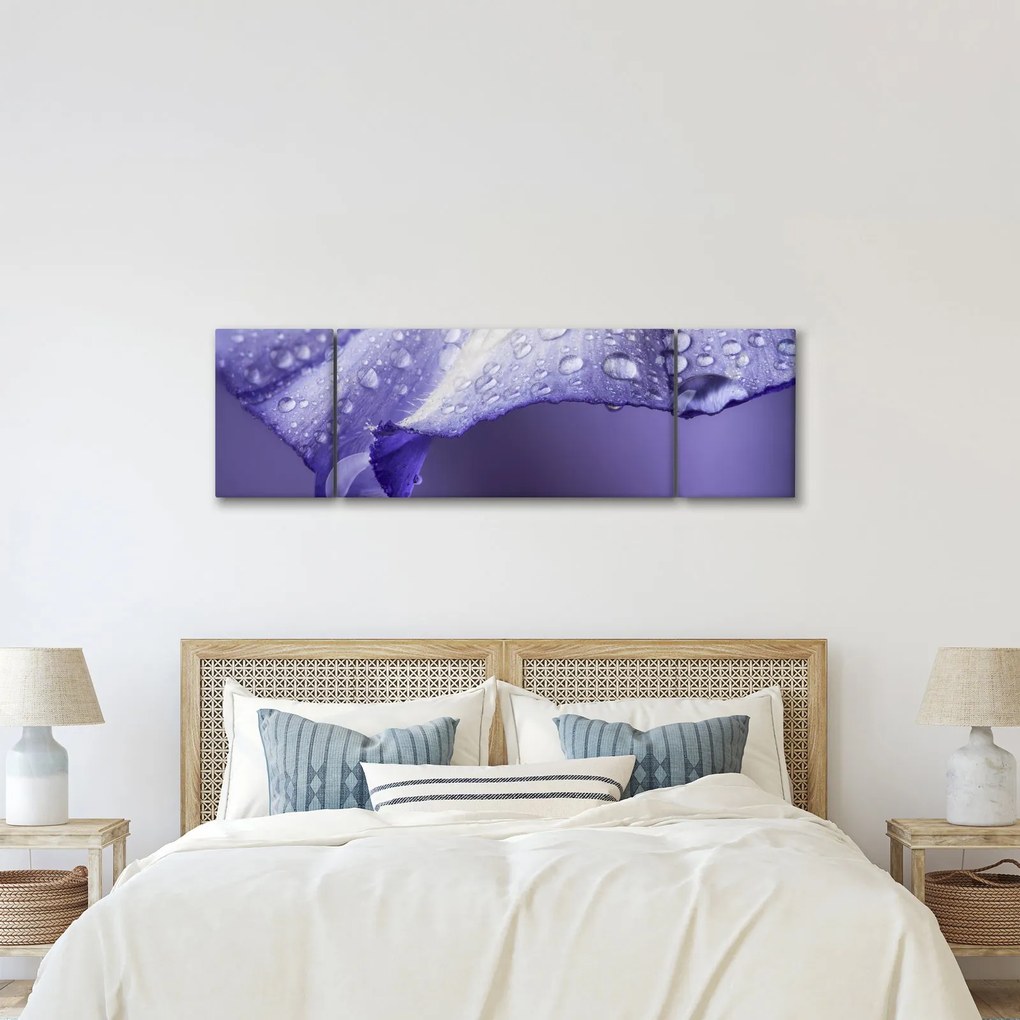 Obraz - Płatek z kroplami (170x50 cm)