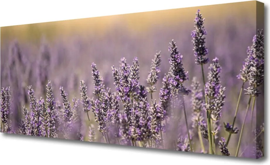 Obraz canvas Wiosenny Powiew Kwiatów