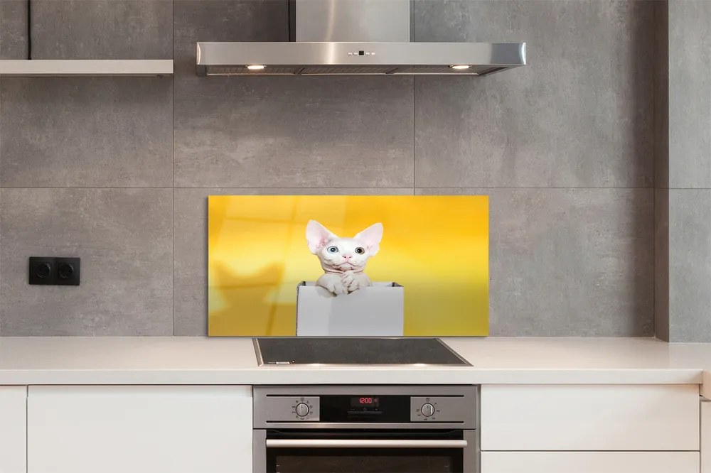 Panel szklany do Kuchni Kot w Oczekiwaniu