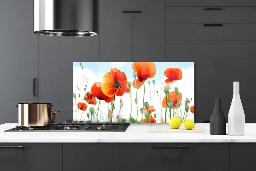 Panel Szklany Kwiaty Maki Łąka Pole Natura