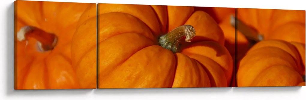 Obraz - Wspaniałe dynie (170x50 cm)