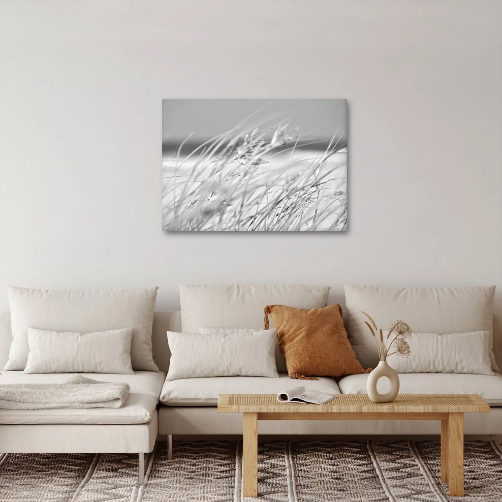 Obraz - Trawa plażowa (70x50 cm)