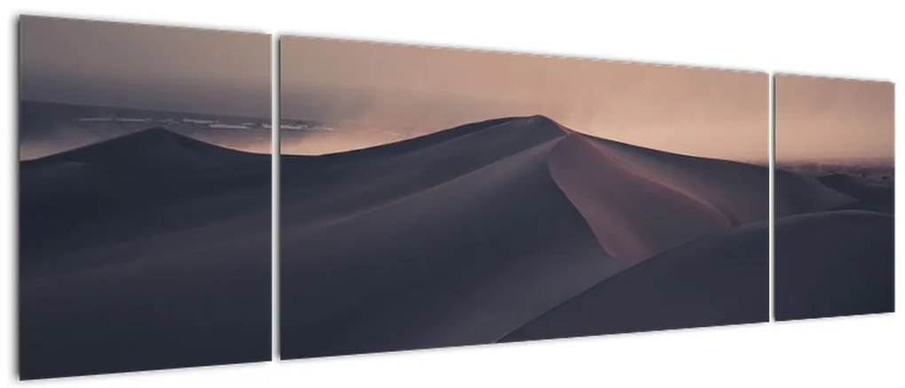 Obraz - Wydmy piaskowe (170x50 cm)
