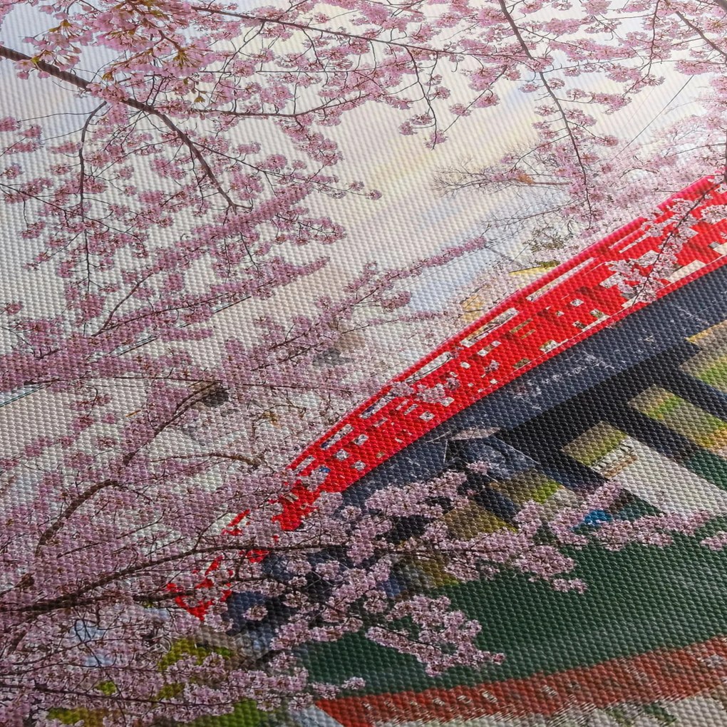 Obraz - Hirosaki, Japonia (70x50 cm)