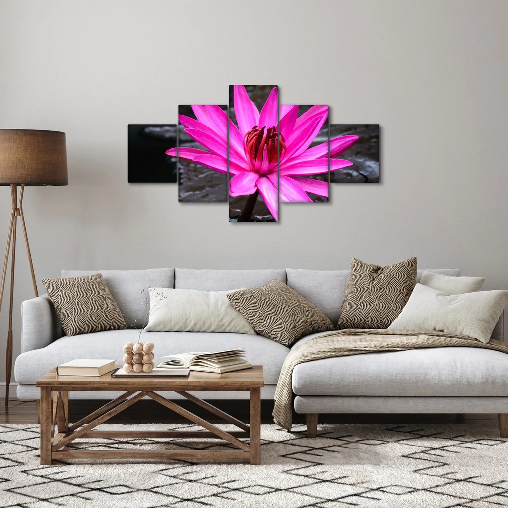 Obraz - różowy kwiat (125x70 cm)
