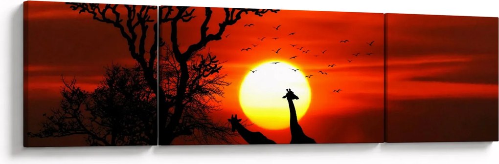 Obraz - Sylwetki zwierząt o zachodzie słońca (170x50 cm)