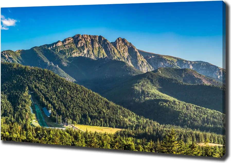 Foto obraz na płótnie Panorama Tatr