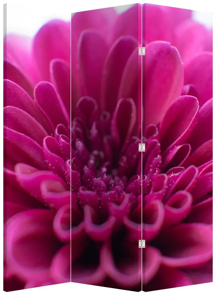 Parawan - Kwiat (126x170 cm)