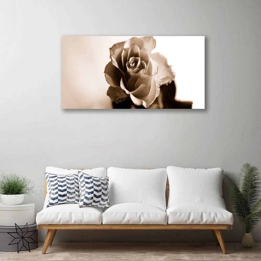 Obraz na płótnie Klasyczna Czerwona Róża