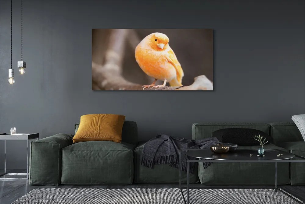 Obraz canvas na ścianę Papuga na Gałęzi