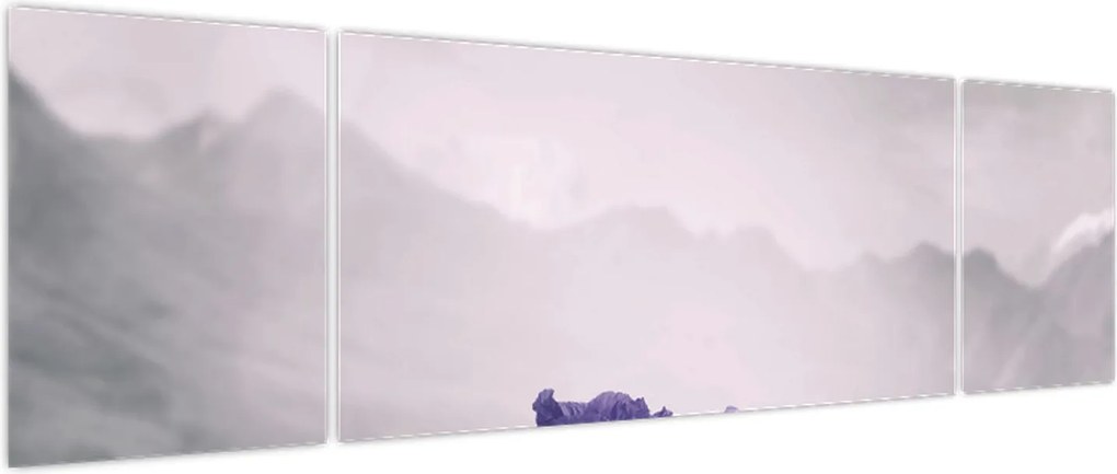 Obraz - Fioletowe kwiaty w górach (170x50 cm)