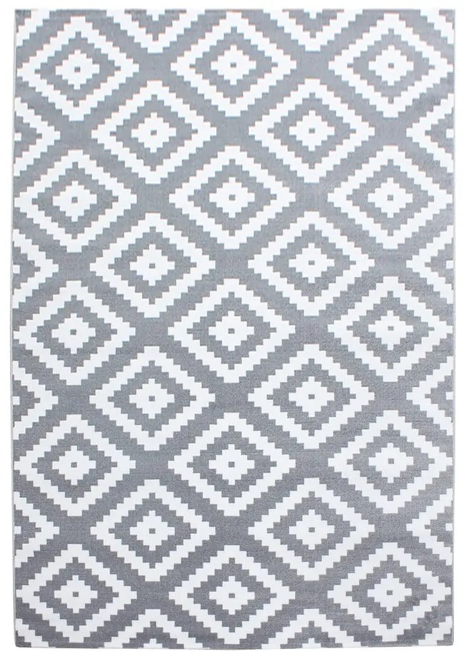 Jasnoszary dywan 120x170 cm Plus – Ayyildiz Carpets