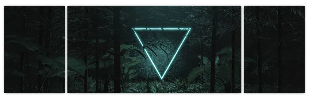 Obraz - Neonowy trójkąt w dżungli (170x50 cm)