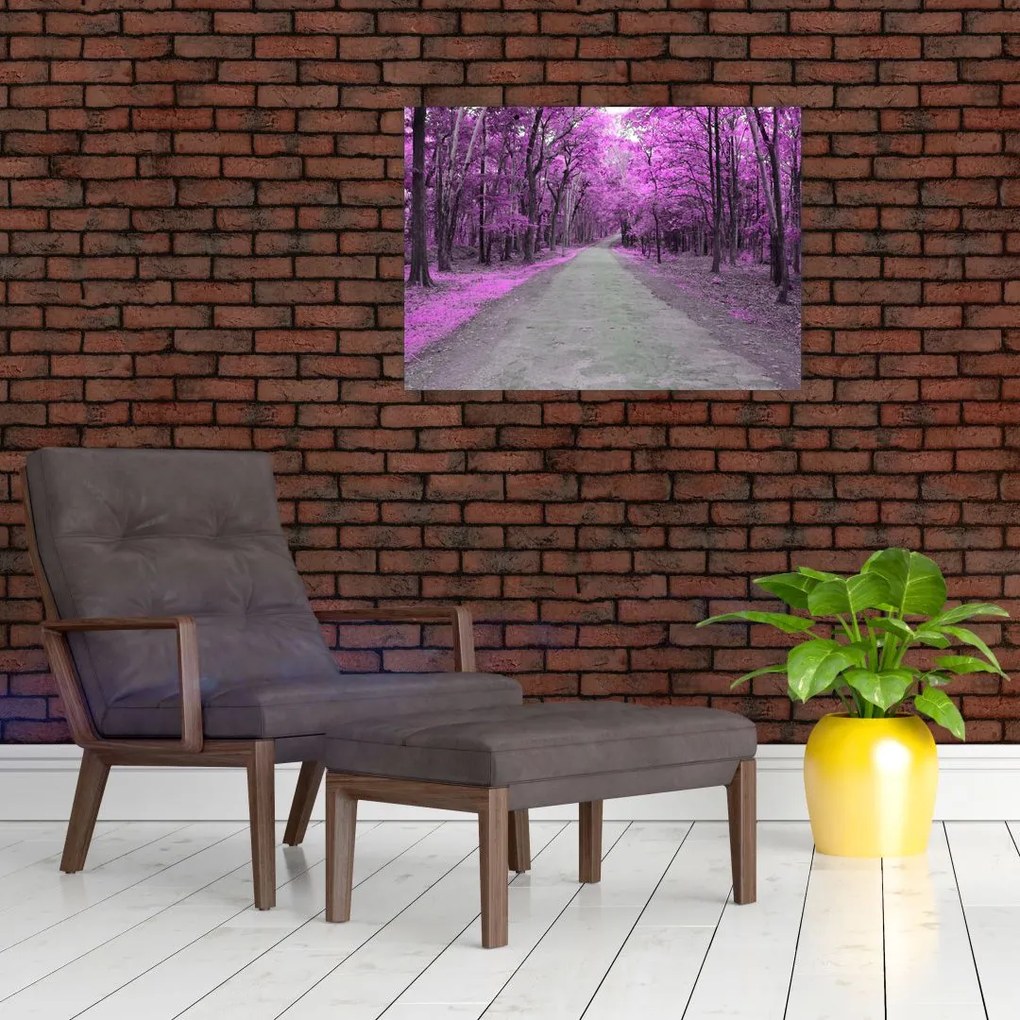 Obraz - Ścieżka przez park (70x50 cm)