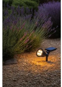 Reflektor Led Rozi Biała Ciepła - Sklum