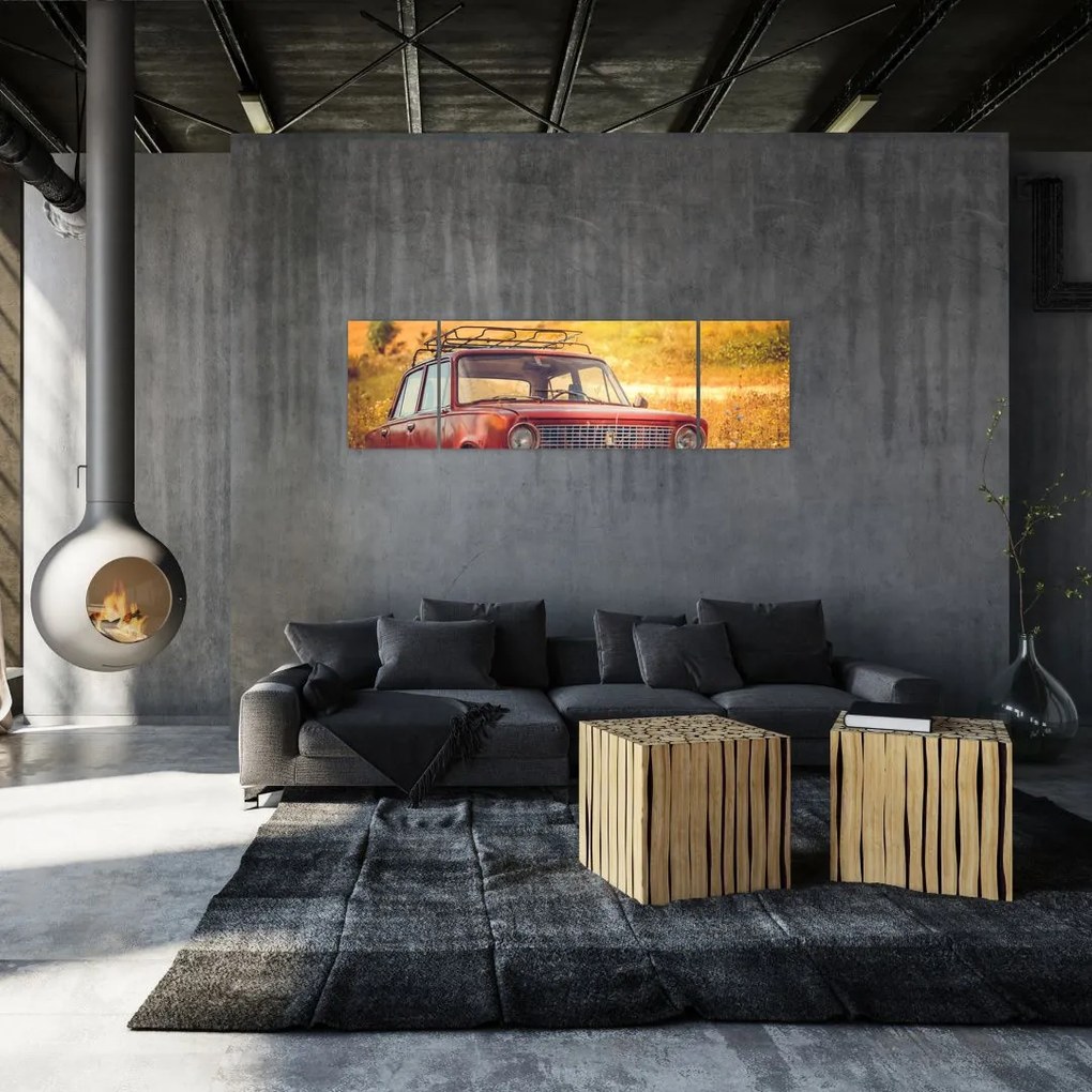 Obraz samochodu na polu (170x50 cm)