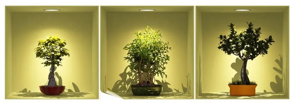 Zestaw 3 naklejek 3D Ambiance Bonsai Trees On Spot