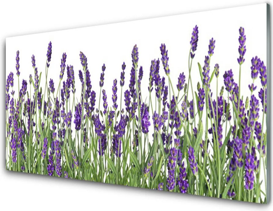 Panel Szklany Elegancja Polnych Roślin