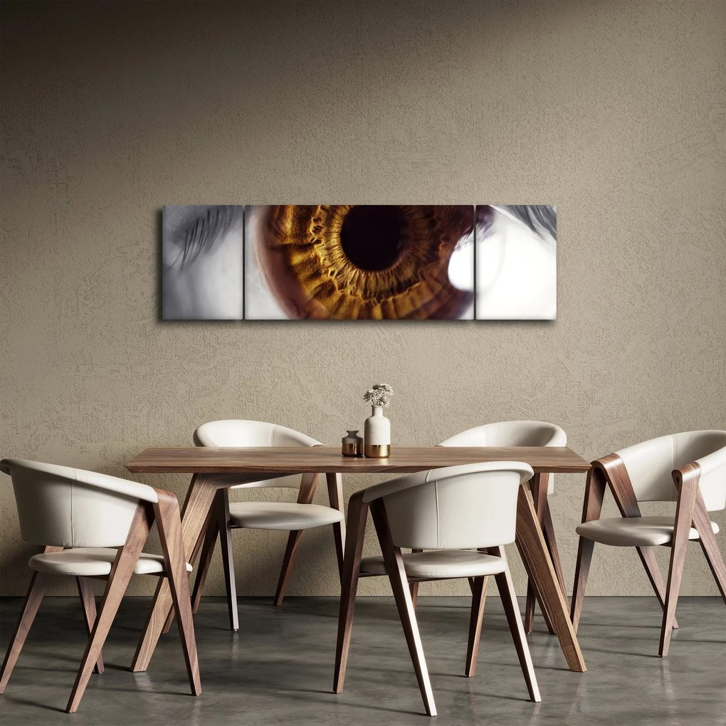 Obraz - Oko (170x50 cm)