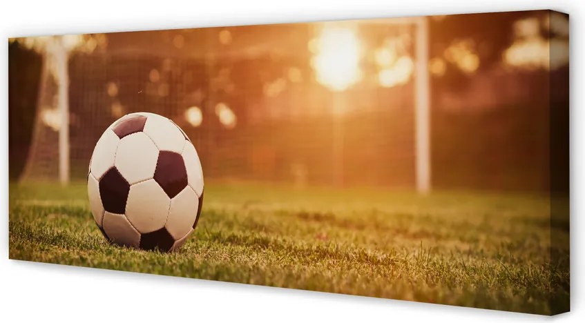 Obraz na płótnie Decydujący Strzał Na Bramkę