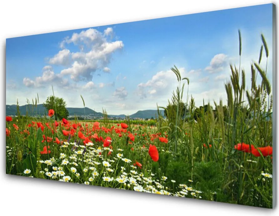 Panel Szklany Sielska Polana Kwiatowa