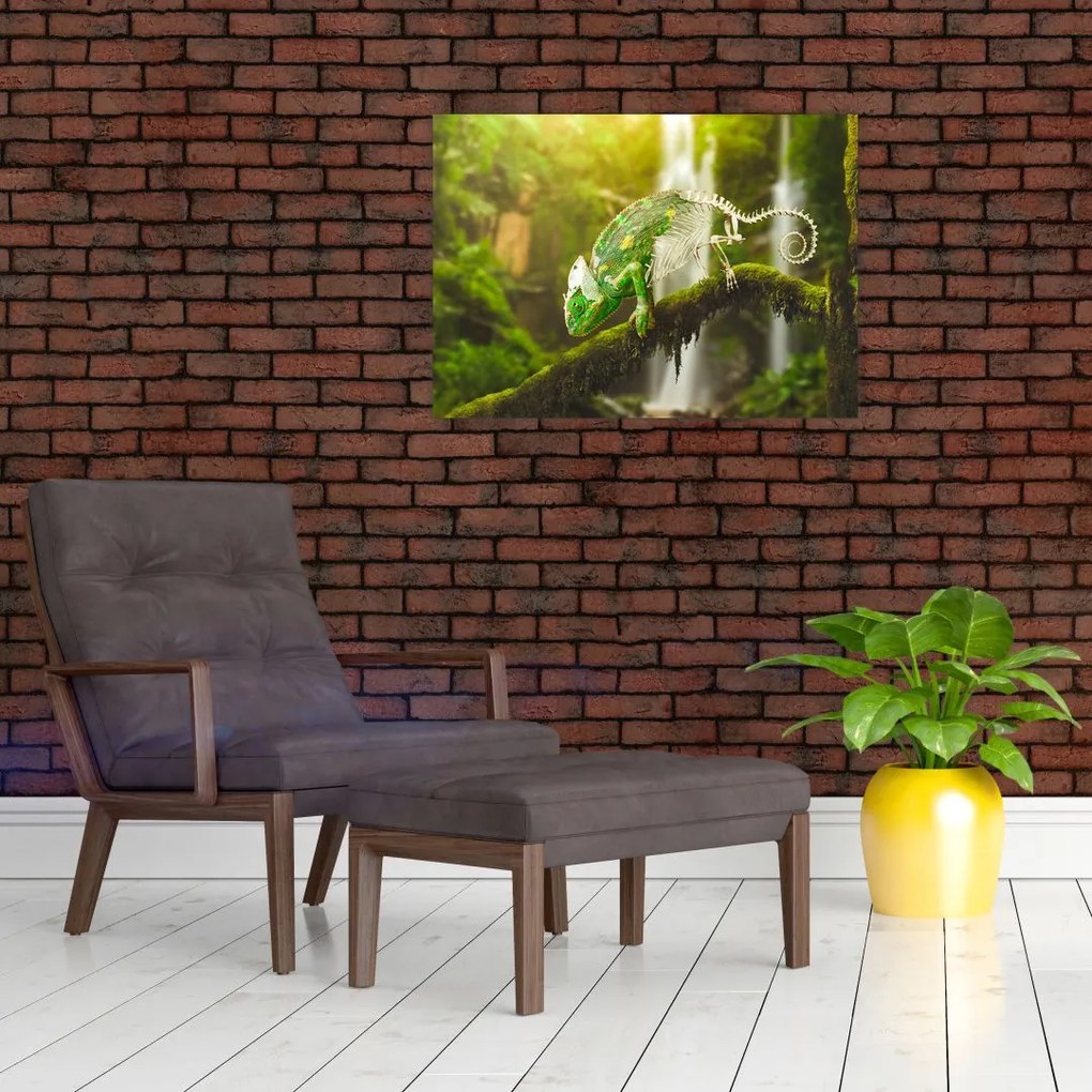 Obraz na szkle - kameleon (70x50 cm)