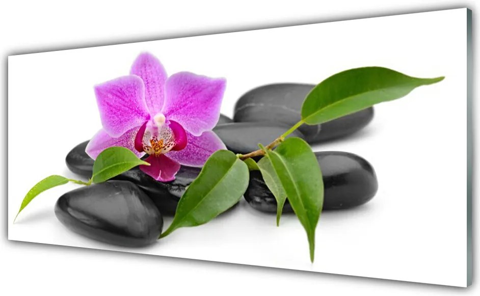 Panel Szklany Orchidea W Nowoczesnym Wydaniu