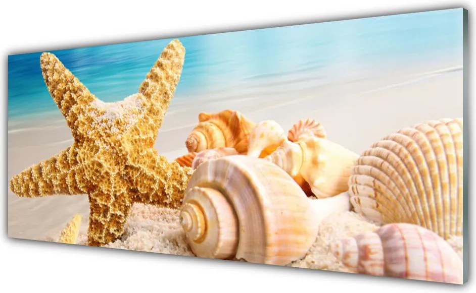 Panel Kuchenny Nadmorskie Skarby: Rozgwiazda