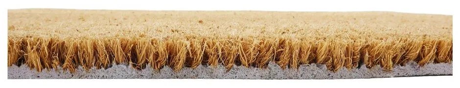 Wycieraczka z włókna kokosowego 40x120 cm Hello Lemons – Artsy Doormats