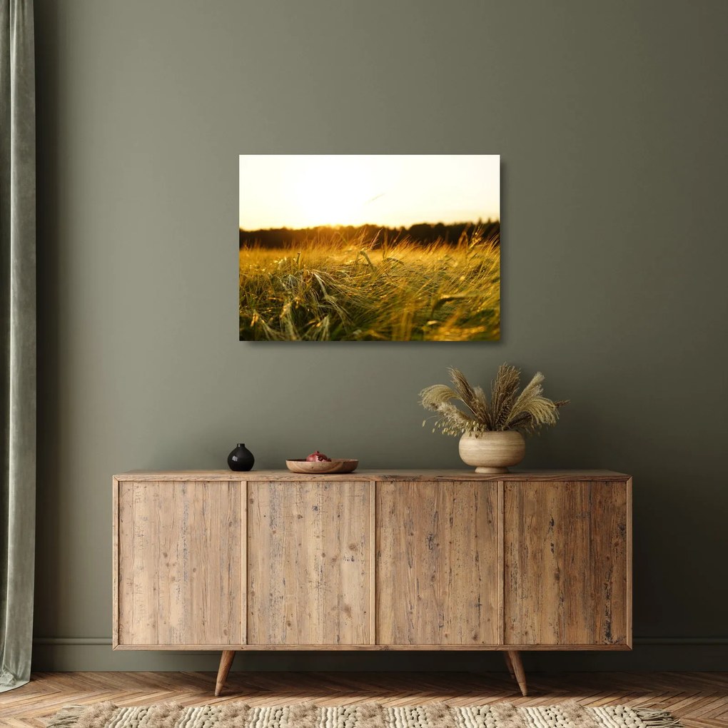 Obraz na szkle - zroszona trawy (70x50 cm)
