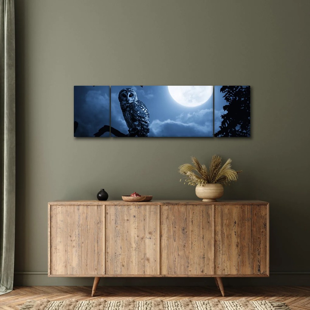 Obraz - Nocna Sowa (170x50 cm)