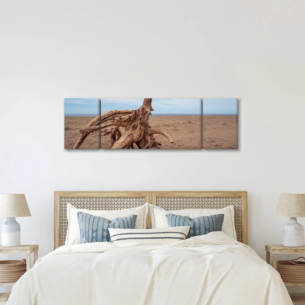 Obraz - Zmyte przez morze (170x50 cm)