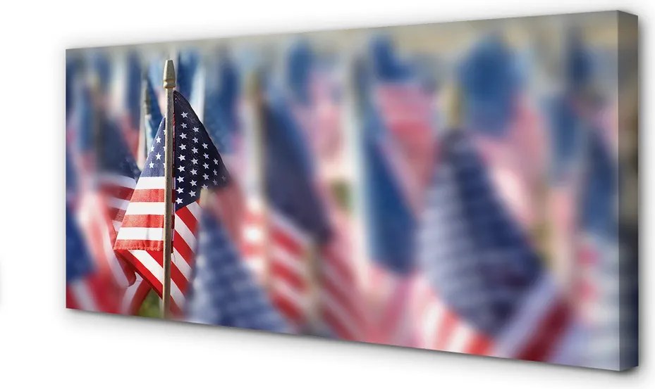 Zdjęcie na płótnie Flaga Stanów Zjednoczonych