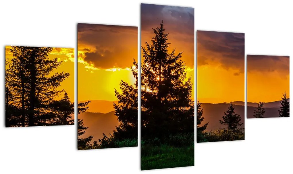 Obraz - drzewa iglaste (125x70 cm)