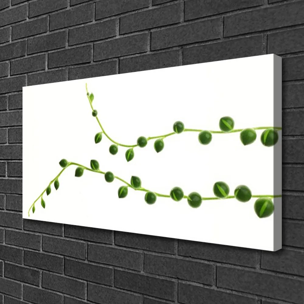 Zdjęcie na płótnie Stylowa Roślina Dekoracyjna