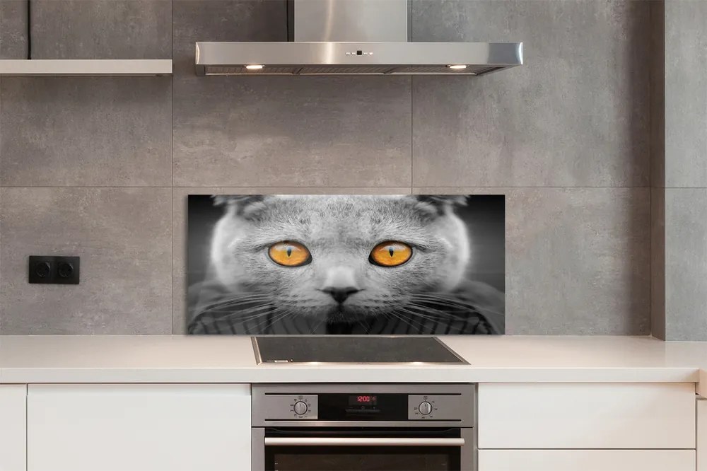 Panel Szklany Dostojny Szary Kot Brytyjski