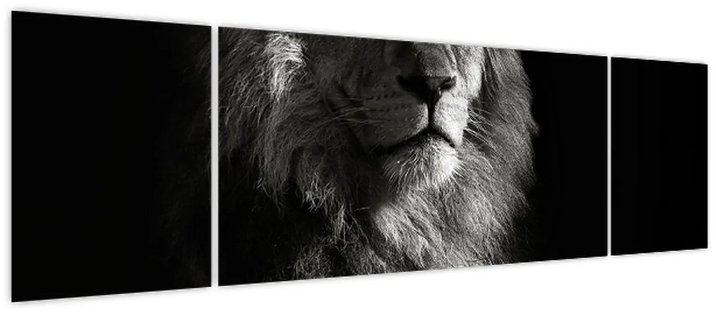 Obraz - Lew (170x50 cm)