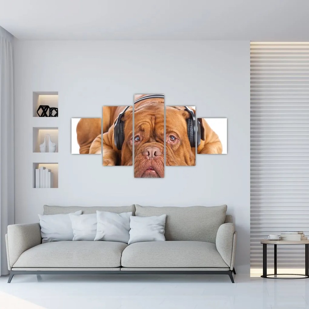 Obraz psa ze słuchawkami (125x70 cm)
