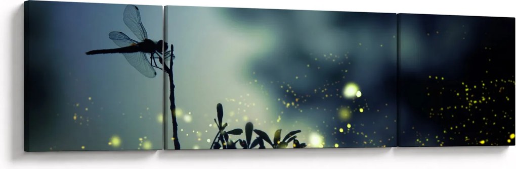 Obraz - Ważka w błyszczącej nocy (170x50 cm)