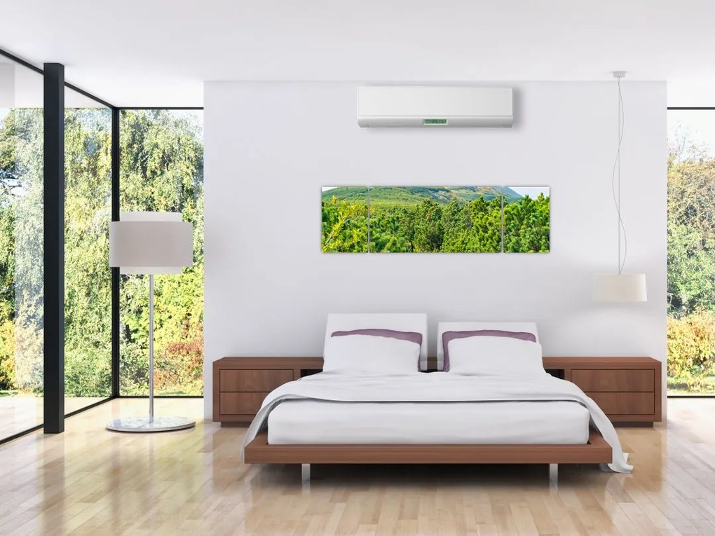 Obraz - Babia Góra, Polska (170x50 cm)