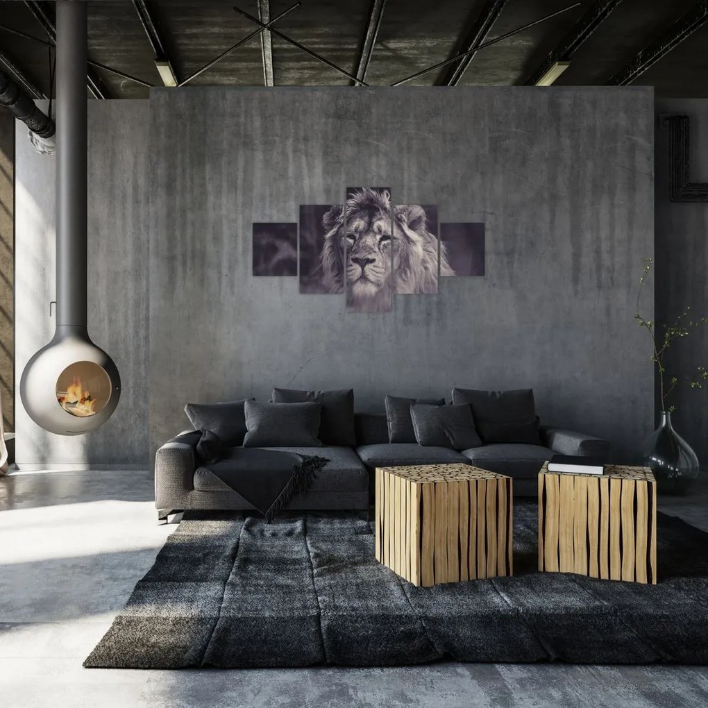 Obraz lwa (125x70 cm)