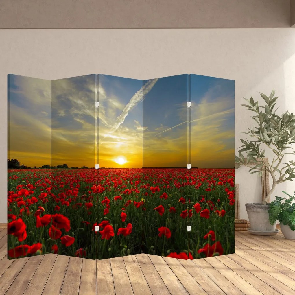 Parawan - Pole maków (210x170 cm)