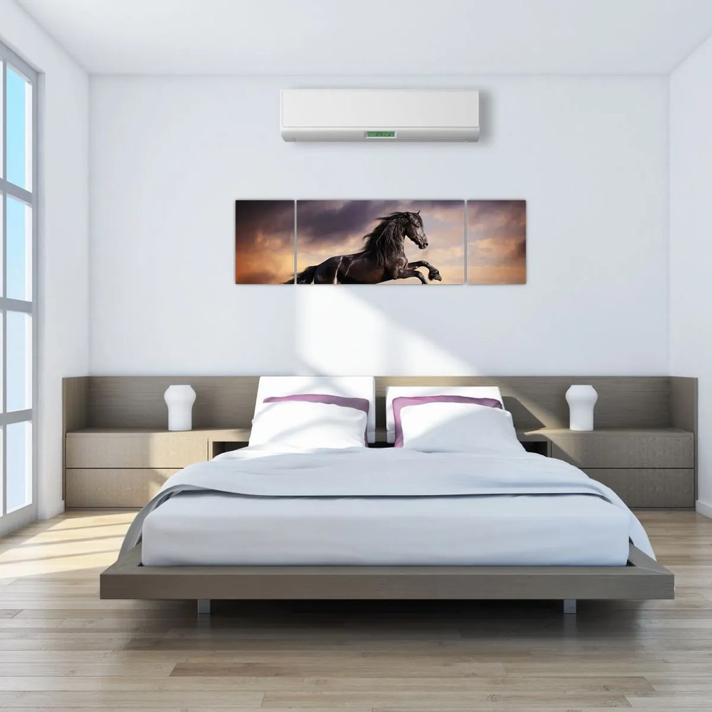 Obraz - Konie (170x50 cm)