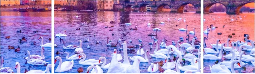 Obraz - Praga (170x50 cm)