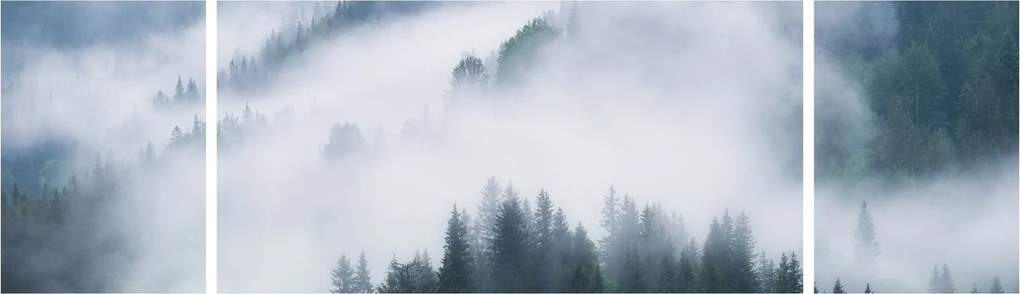 Obraz - Drzewa we mgle (170x50 cm)