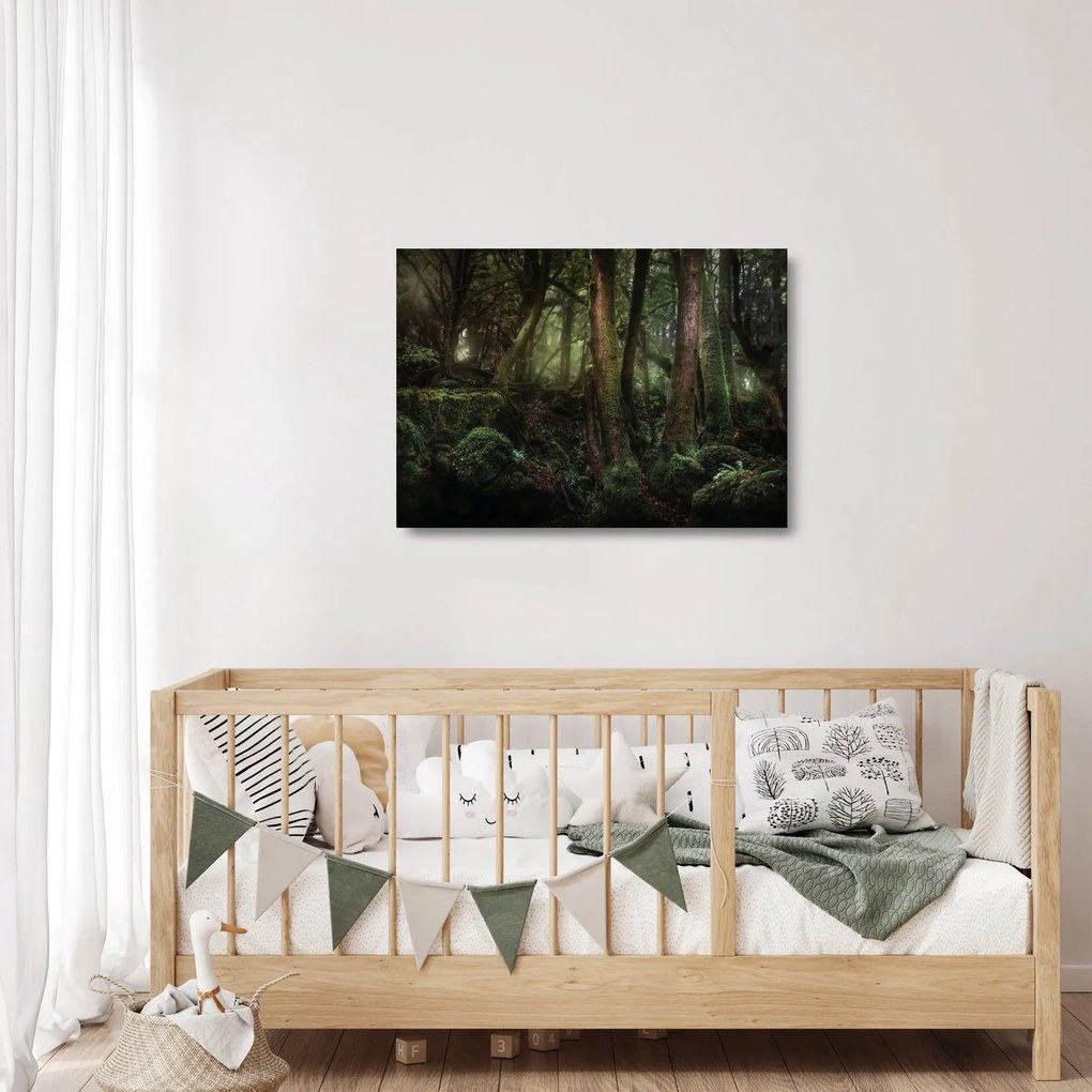 Obraz na szkle - Tajemniczy las (70x50 cm)