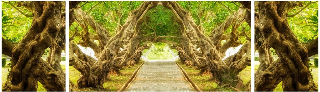 Obraz - Żywy tunel plumerii (170x50 cm)